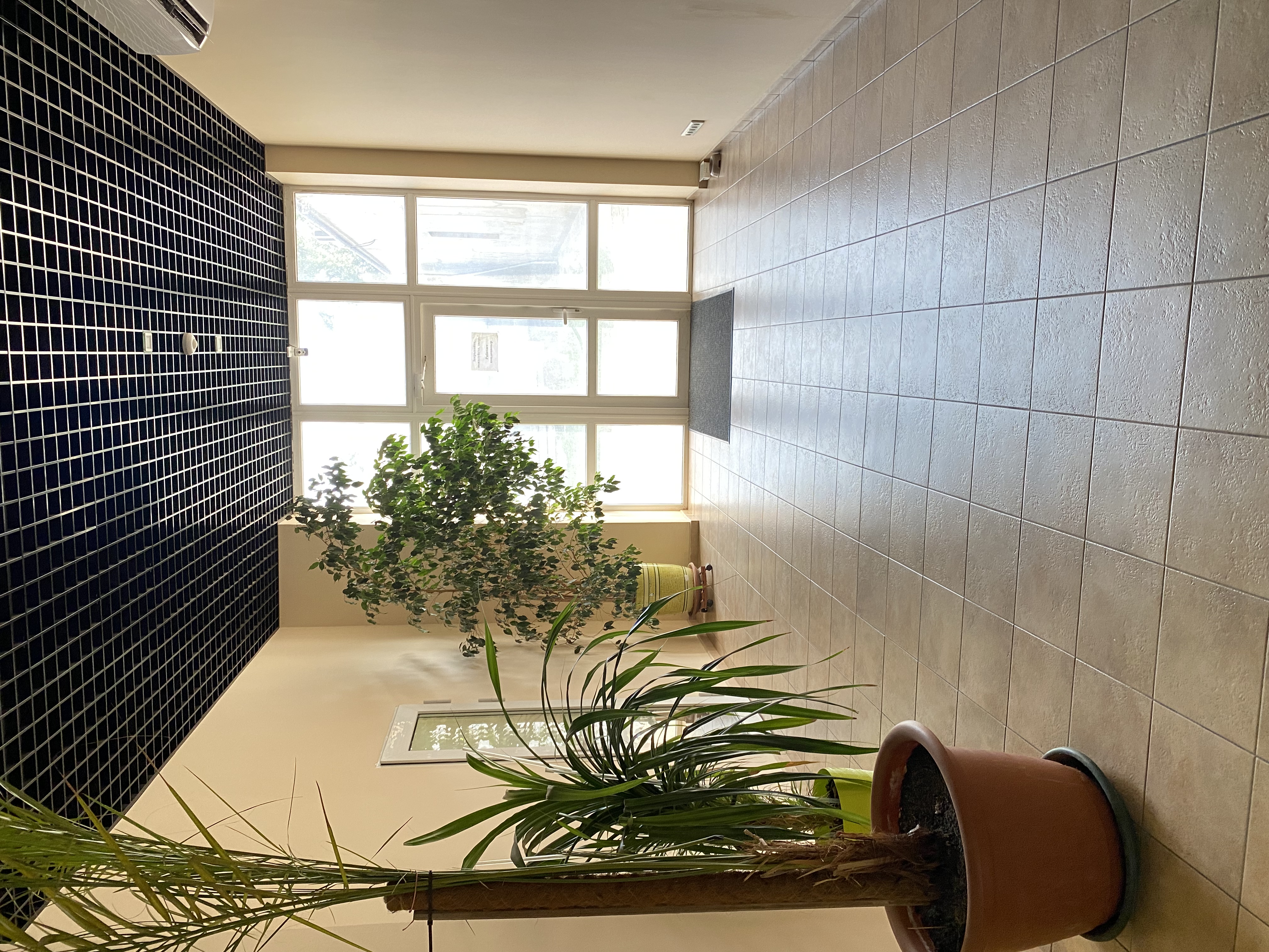 Мельницький